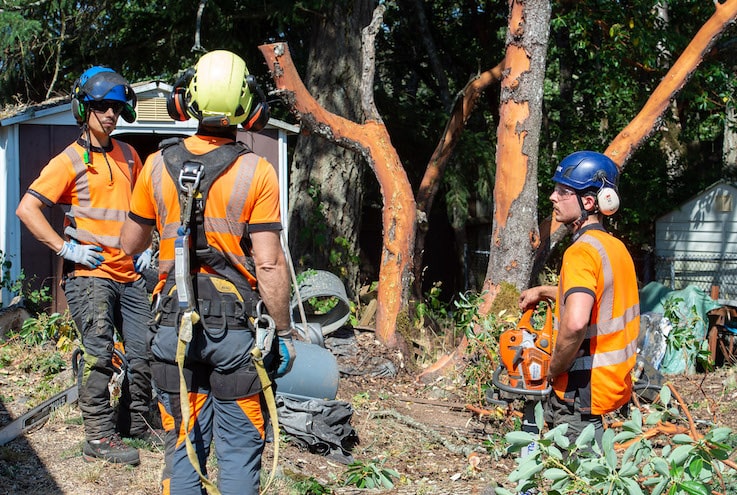 Professional crew coordination