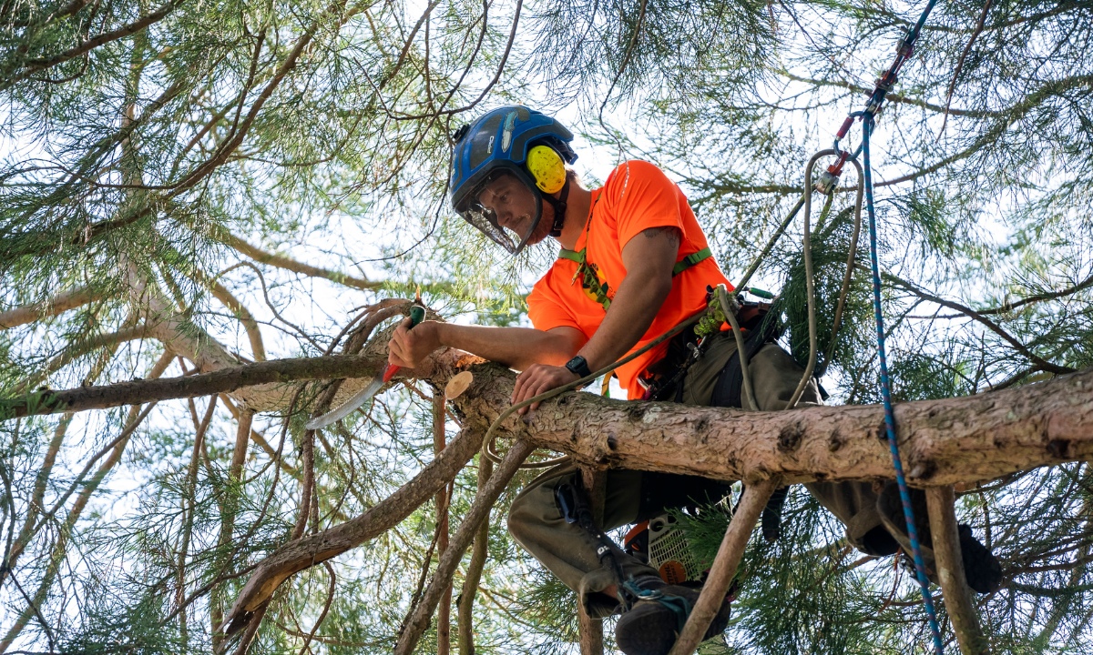 Advanced Equipment Operators